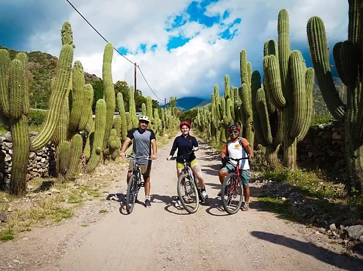 Tres ciclistas entre cardones